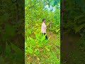 hindi#song#short video❤💕