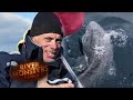 Fighting A Greenland Shark | SHARK | River Monsters