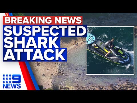 Human remains found after suspected shark attack in Sydney | 9 News Australia