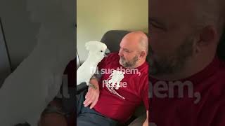 Buster the cockatoo rant work,park,he’ll sue & Alexa *subtitled*