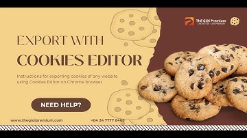 How to Import and Export Cookies with Cookies Editor on Google Chrome