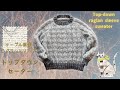 TfM057 ケーブル模様のラグランスリーブトップダウンセーター　棒針編み