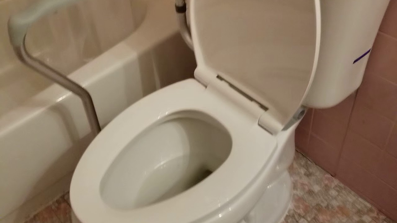 Glacier Bay Power Flush Toilet - YouTube