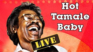 Buckwheat Zydeco: "Hot Tamale Baby" - Buckwheat's World #14 chords