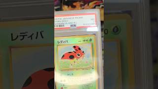 PSA 7 Ledyba from Southern Islands in the Mail #ledyba #pokemon #shorts #japanese #vintage