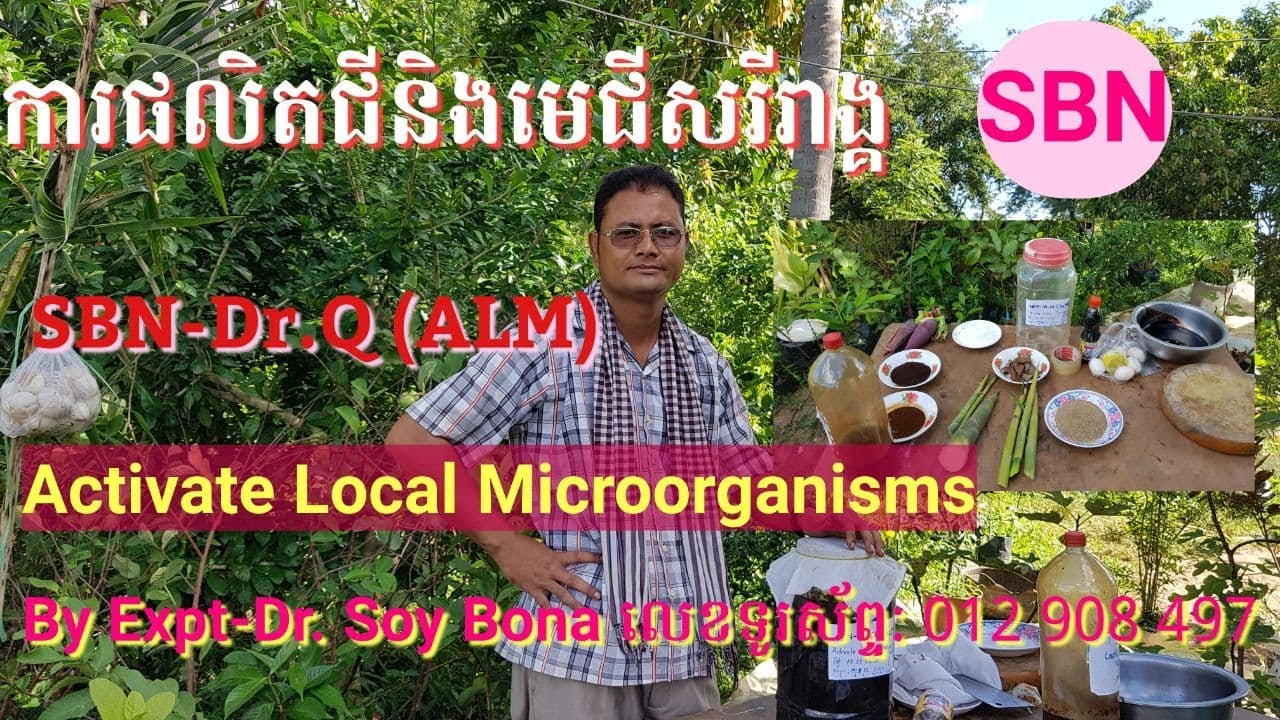 ការផលិតជីនិងមេជីសរីរាង្គ SBN-Dr.Q (ALM) |Soy Bona|