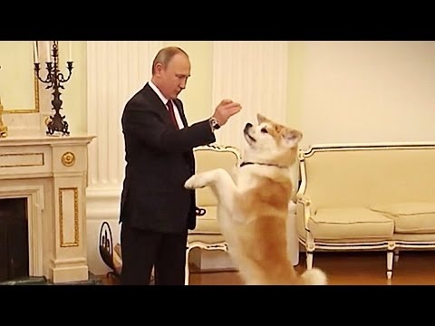 Video: Millonario bailando imita a Putin