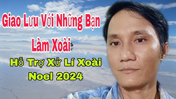 Hỗ Trợ Xử Lí Xoài Noel 2024 | VTK.CHANNEL