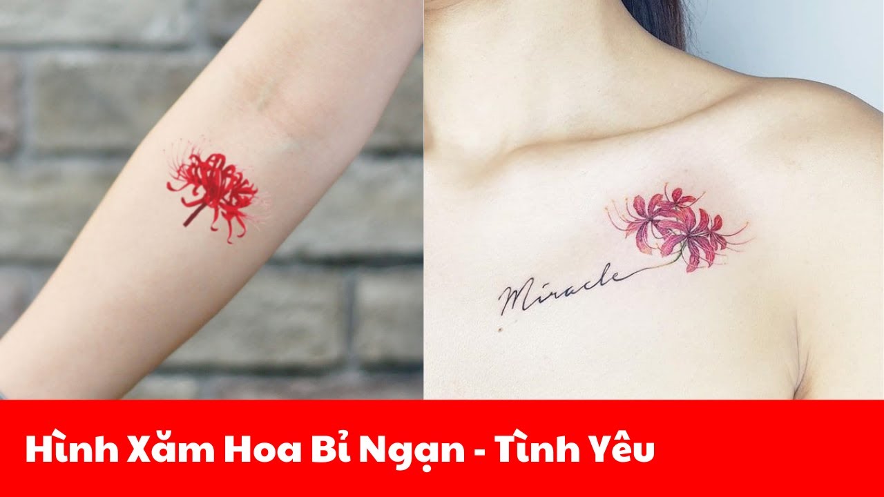 50 Hình Xăm Hoa Bỉ Ngạn Ý Nghĩa Và Đẹp Nhất Cho Nam Nữ  Đẹp365