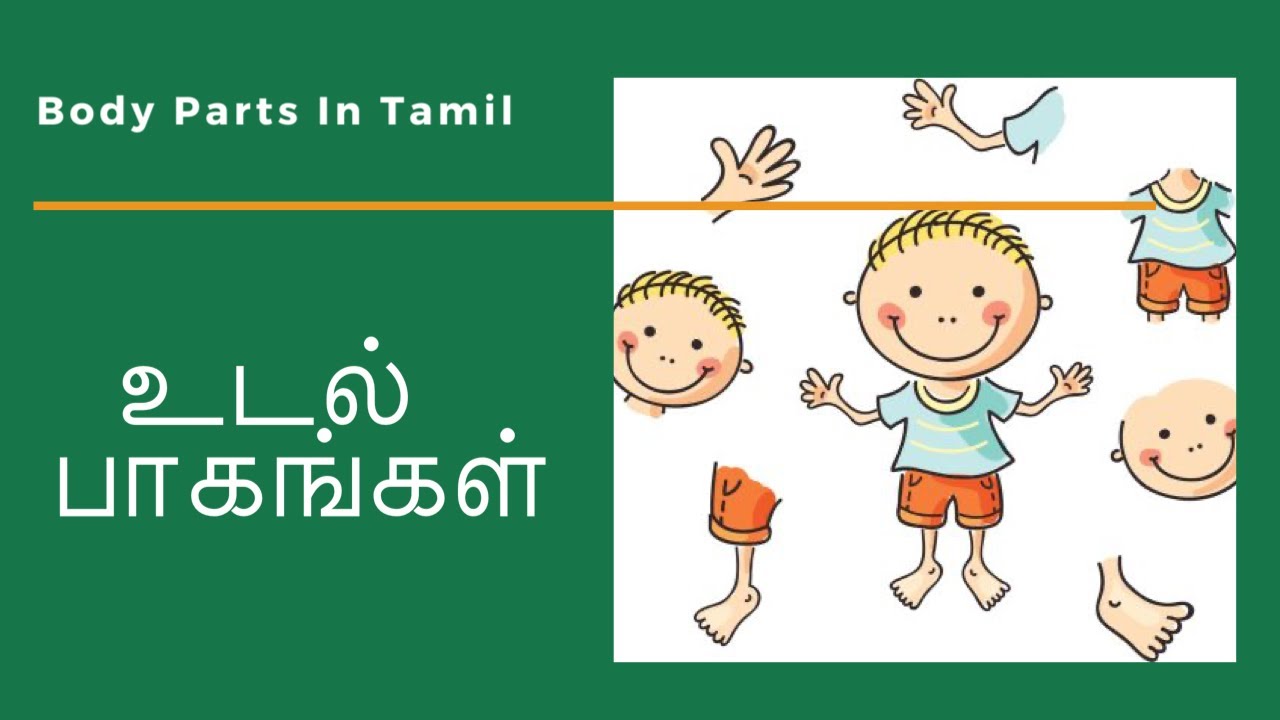 BODY PARTS IN TAMIL FOR KIDS - YouTube