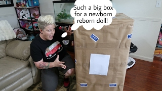 Worlds Biggest Reborn Baby Box Opening! Such A GIANT Box - nlovewithreborns2011