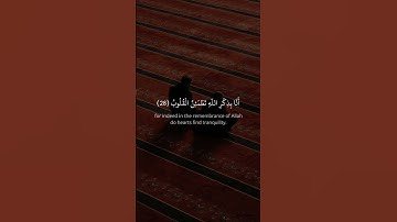 الَّذِينَ آمَنُوا وَتَطْمَئِنُّ قُلُوبُهُم بِذِكْرِ اللَّهِ | سورة الرعد | #وديع_اليمني