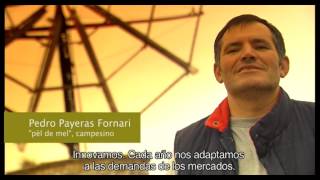 Mateu Export - Historia de la exportación de patatas de sa Pobla (Mallorca)