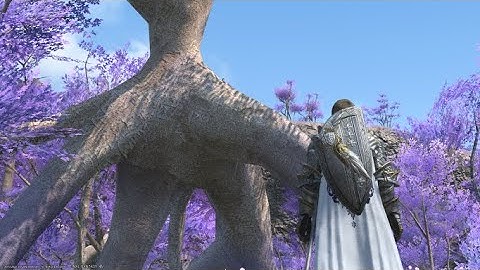 The Forgiven Gentleman