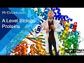 Proteins - A Level Biology