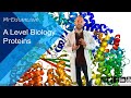 Protein Structure and Function Quiz