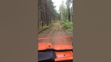 Forest Roads Adventure: Polaris RZR Turbo Exploring Offroad Tracks #forest #adventure #polarisrzr