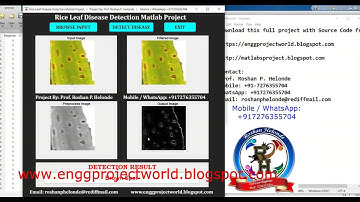 Rice Leaf Disease Detection Using Machine Learning | Rice Plant Disease Classification Using Matlab
