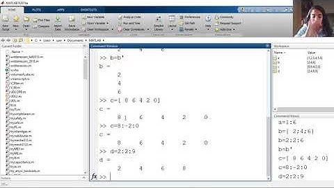 Matlab-Array and Matrix definition and indexing with example-part 11