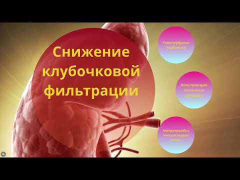 Острая почечная недостаточность. Учебный фильм. СГМУ