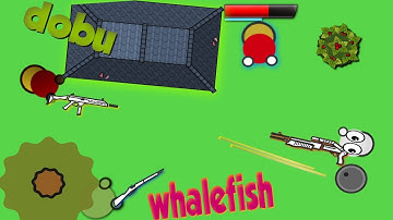 Roomservice and Michael8888 vs Dobu and Whalefish  |Surviv.io PRO 2v2