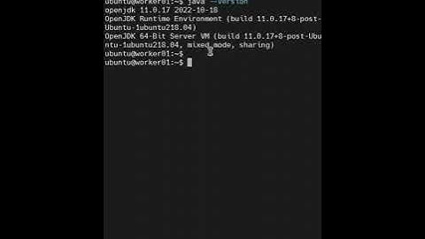 How to find java version in ubuntu?