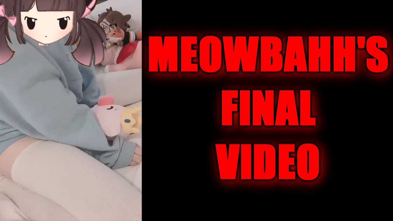 Meowbahh technoblade plush video twitter