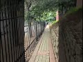 Taking you on a mini walkthrough of Gallagher’s electrical fencing. #ElectricalFence #Gallagher