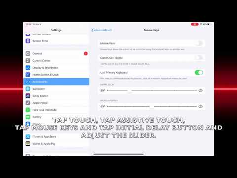 HOW TO ADJUST INITIAL DELAY (POINTER MOVES) IN IPADOS 13.6 (IPAD)
