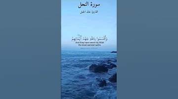 ماتيسر من سورة النحل بصوت القارئ خالد الجليل