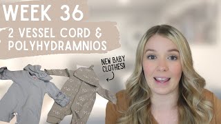 Two Vessel Cord & Polyhydramnios 36 Week Pregnancy Update