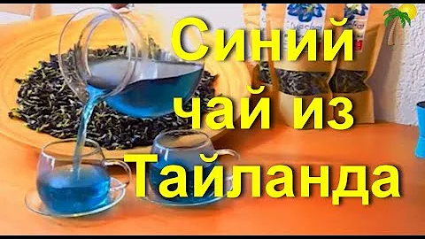 Синий чай из Тайланда: состав, как заваривать, польза