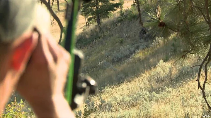 Gold Tip's Name The Game - Montana Break Mulies Part 2