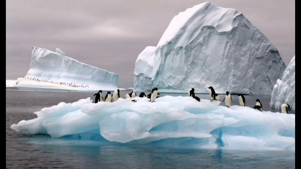 В середине 20 века антарктида для многих