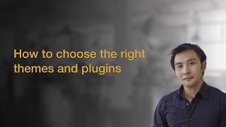 How to choose the right WordPress themes and plugins