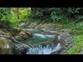 Enter a Peaceful State with Natural Creek Sounds for Sleep and Stress Relief Tonight