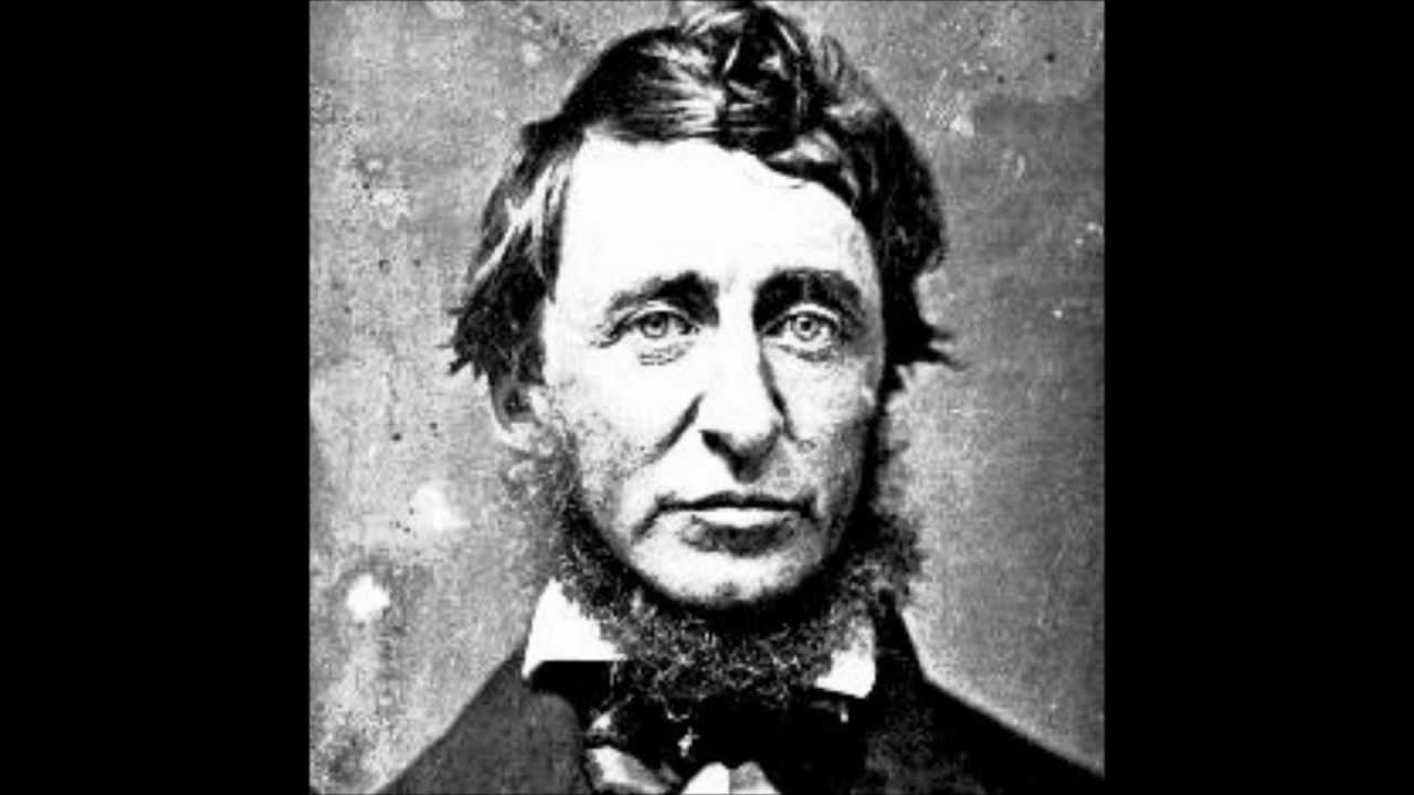 Henry david thoreau essay contest