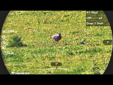 Pest Control | H&N Slugs | FAC Air | High Power Hunting!