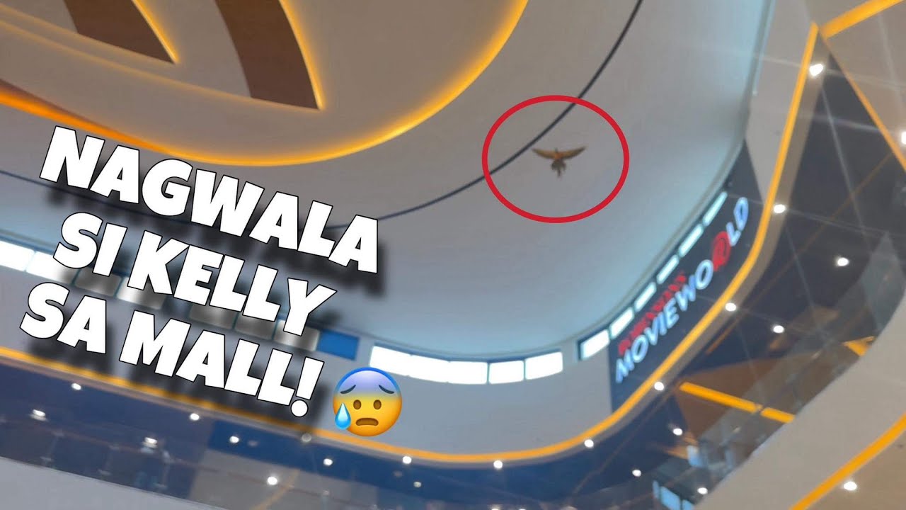 NAGWALA AT NAG FREE FLIGHT SI KELLY SA ROBINONS MALL! Madami nataranta sa Animal Day! | Murillo Bros