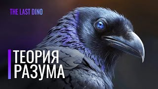 видео: Биология самых умных птиц на планете  Чувство юмора и разум у Врановых картинка: Биология самых умных птиц на планете  Чувство юмора и разум у Врановых