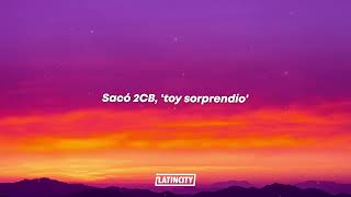 Bad Bunny, Feid - PERRO NEGRO (Letra)