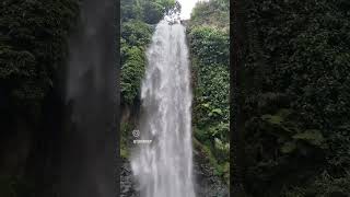 Puas-Puaskan Masa Mudamu Kawan Sebelum Istri Suruh Pulang