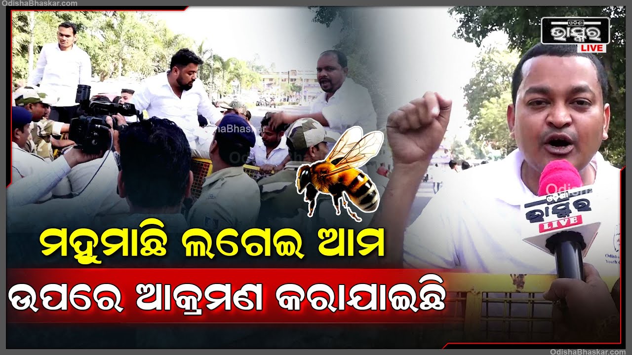 "150ରୂ 200ଲୋକ ଆମେ ଅସୁସ୍ଥ ହେଇଛୁ ,ଏହାର ଜବାବ କେମିତି ଦେବୁ ଏହା ସେ ଦେଖିବେ " Bee Attack On Congress Worker