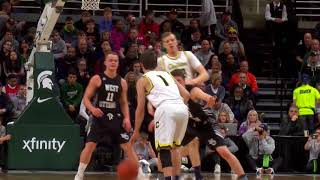 Main Event - Clarkston Vs. Holland West Ottawa - 2018 Cl A Boys Basketball Final Highlights