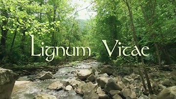 Thumbnail of LIGNUM VITAE (Tree of Life) | Ethereal Celtic Earth Song | @TheDarkeyedMusician
