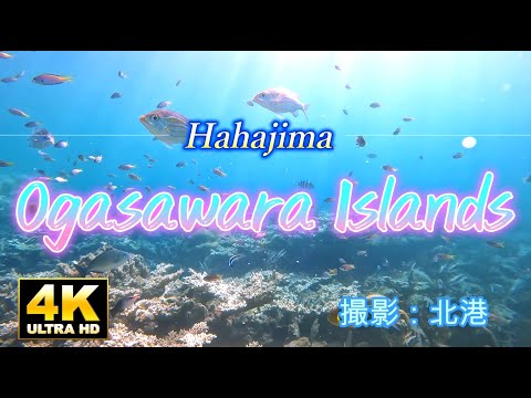 小笠原諸島・母島の絶景と癒しBGM | 観光スポット&水中映像でリラックス