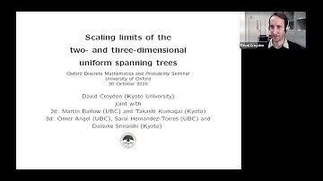 David Croydon (Kyoto), Scaling limits of the two- and three-dimensional USTs, 24th October 2020