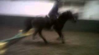 VID 00166-20101015-1049.3GP