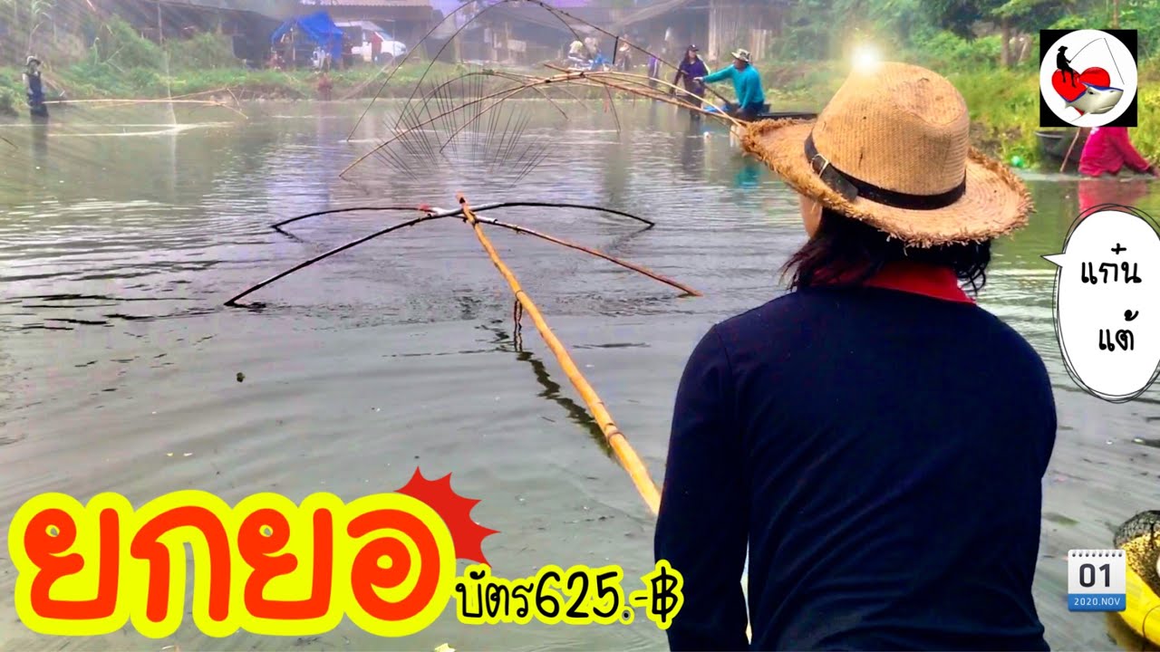 ยกยอ บ่อเบอร์ 7 ►Fishing lifestyle Ep.450