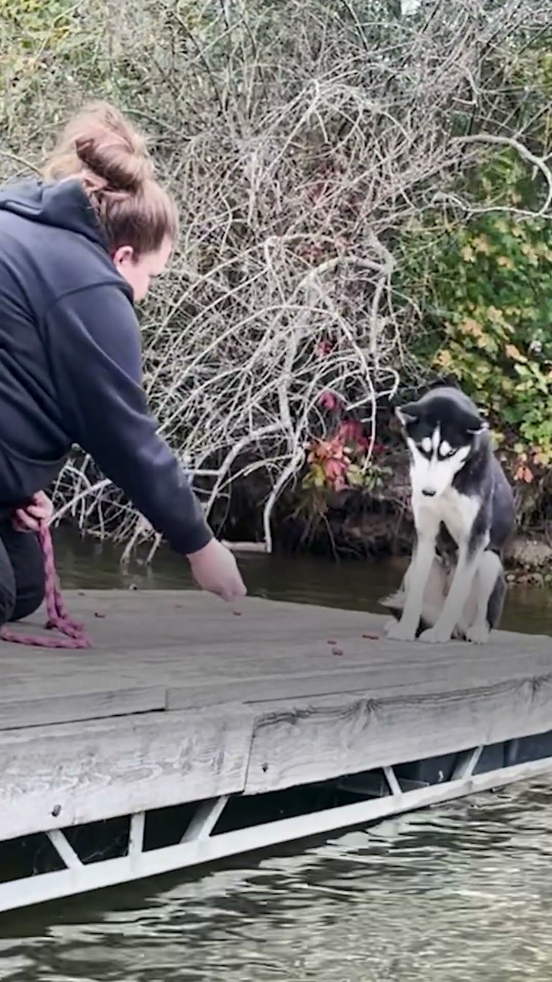 Terrified Husky Gets Rescued From Dock In The Freezing Cold | The Dodo